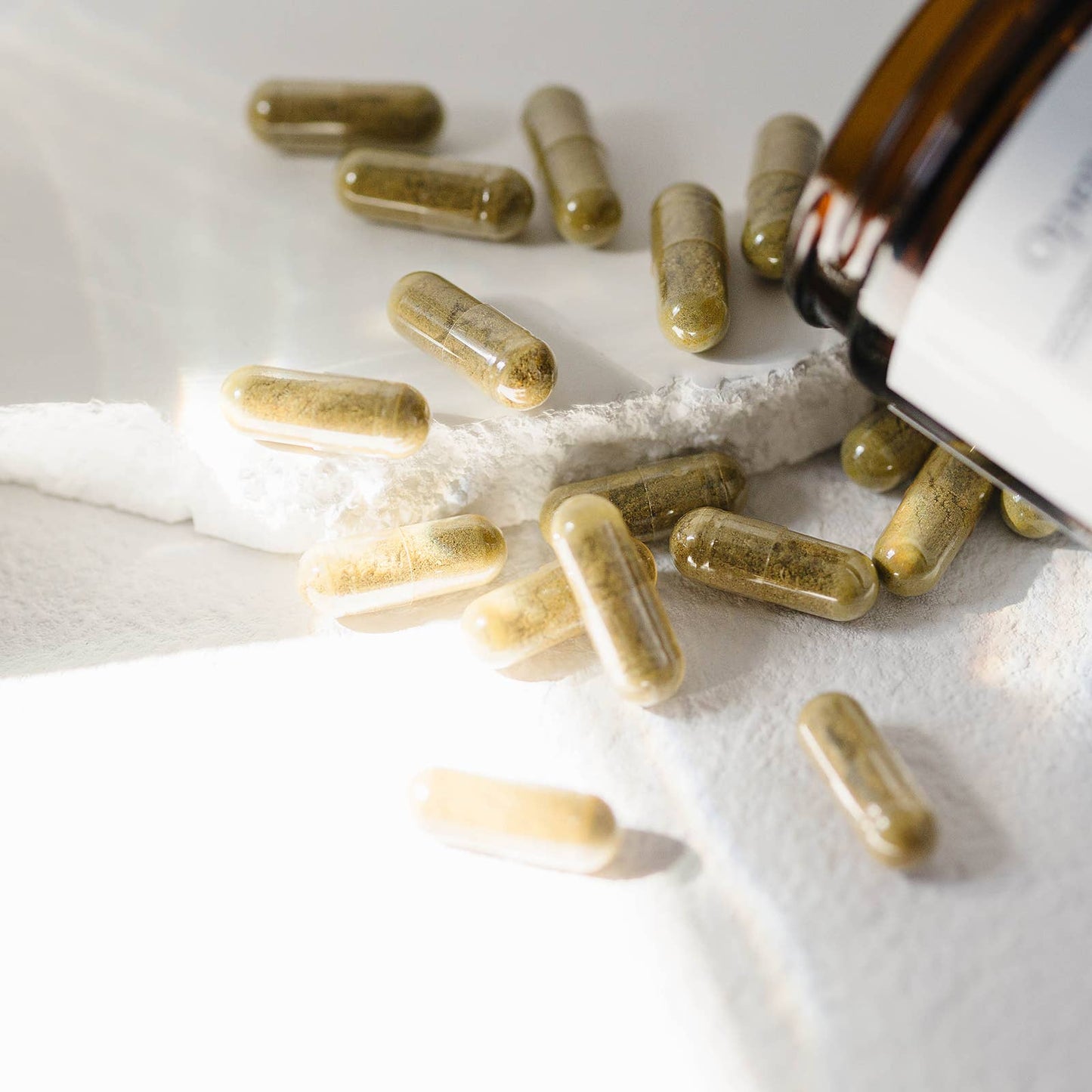 Open Pathways, Capsules